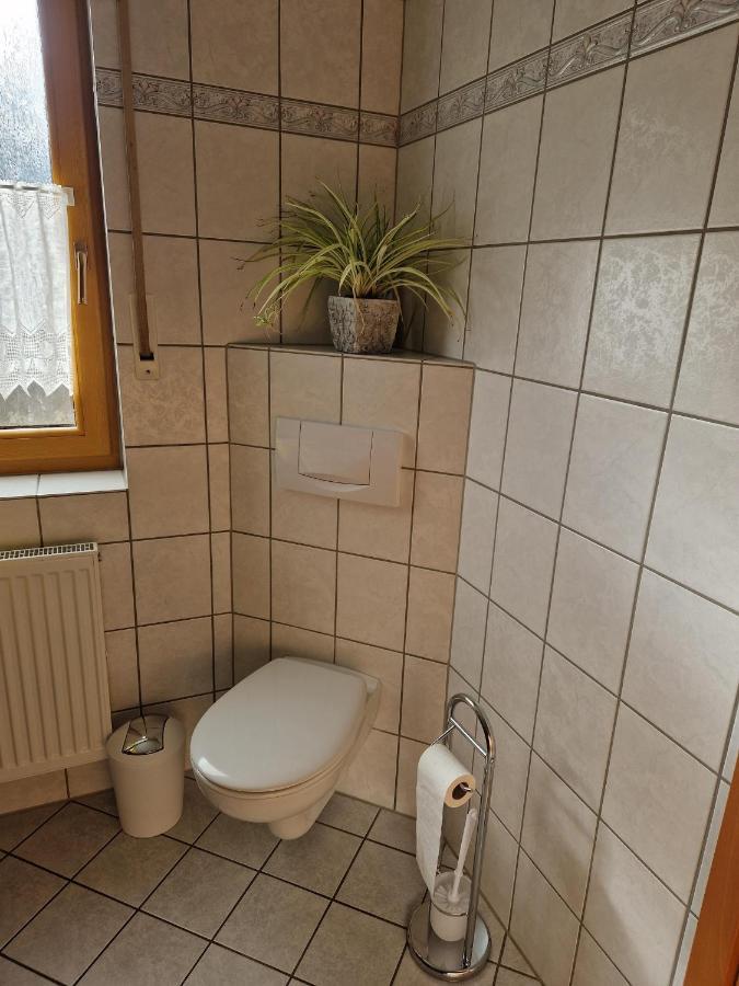 Ferienwohnung Moselzeit Alken Ngoại thất bức ảnh