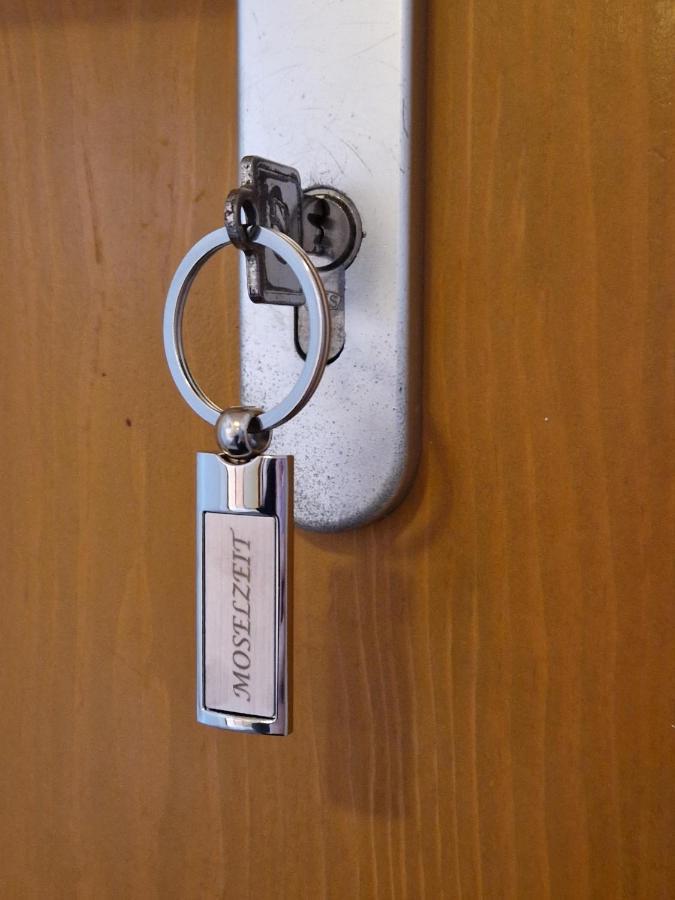 Ferienwohnung Moselzeit Alken Ngoại thất bức ảnh